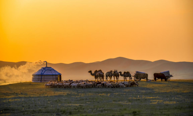 image036 (2).jpg image036 (2).jpg