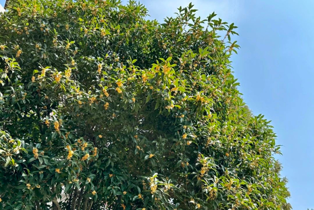 微信图片_20241021085347 (2).jpg 微信图片_20241021085347 (2).jpg