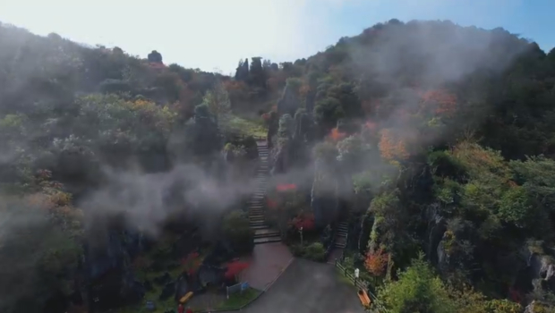 image005.jpg image005.jpg